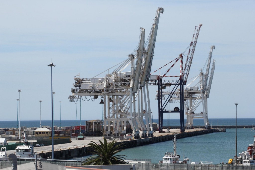 Frozen foods distributor calls for 'state of emergency concession' at Eastern Cape port - Vimarsana News