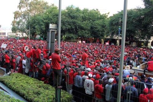 Is The Eff Racist Left-wing EFF says ‘racist whites’ keep Africans poor - Moneyweb