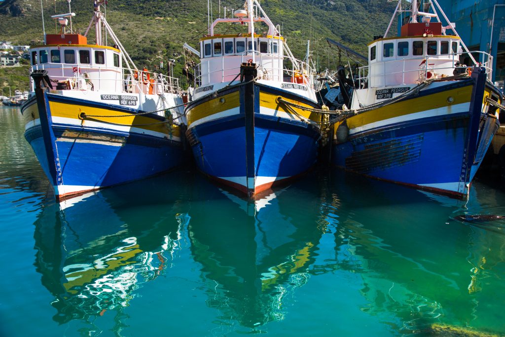 Oceana sees performance recovery in H2 - Vimarsana News