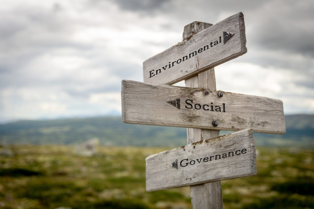 Pressure on small businesses to become green too - Vimarsana News