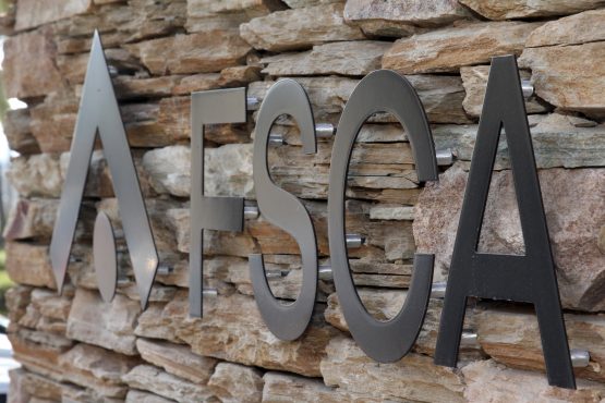 The FSCA is conducting a preliminary investigation into the operation’s activities in South Africa. Image: Moneyweb