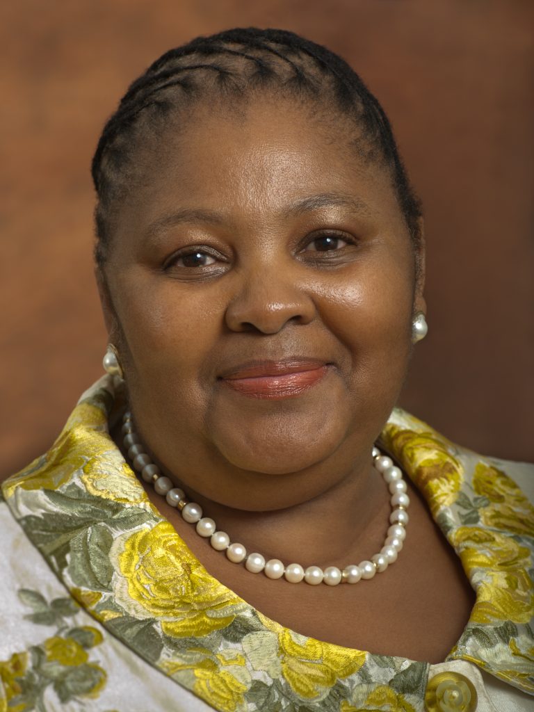 Mapisa Defence minister’s pay docked over use of military plane - Moneyweb