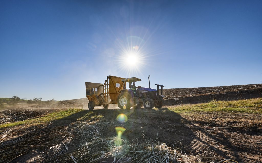 Sugarcane milling season off to sweet start despite uncertainty