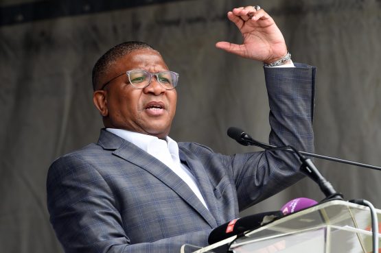 Transport Minister, Fikile Mbalula