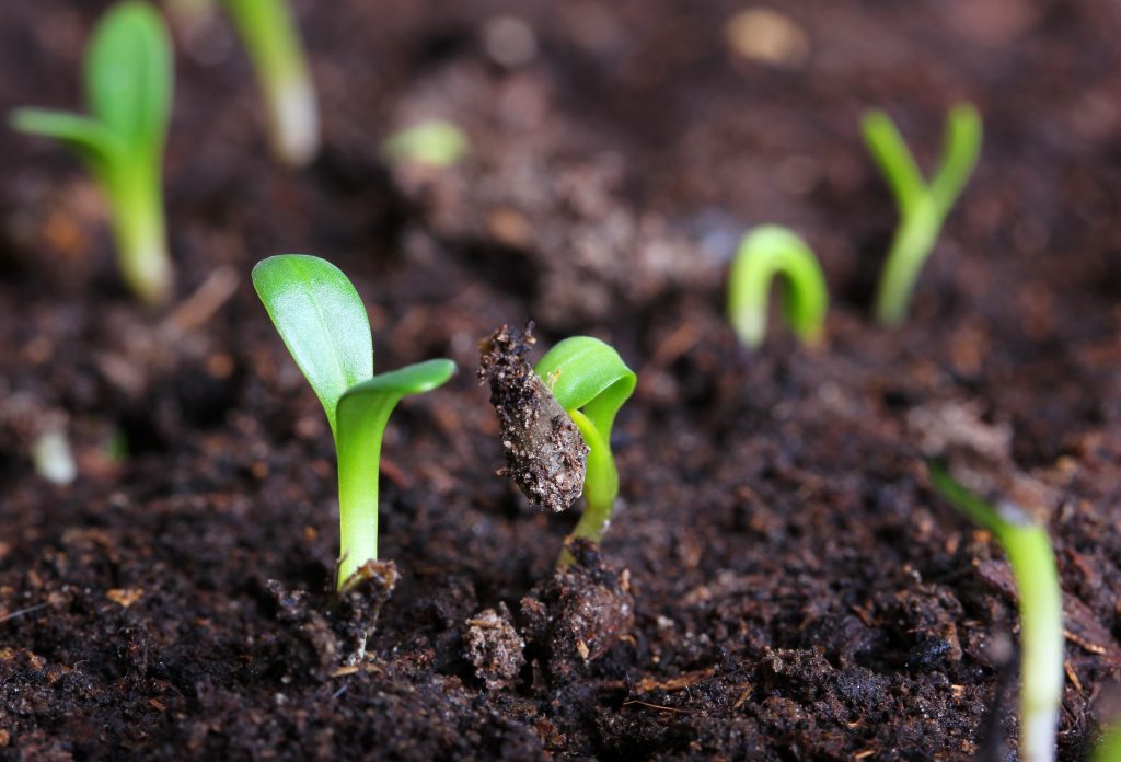 [TOP STORY] Start-ups fail primarily due to a lack of mentorship and funding - Vimarsana News
