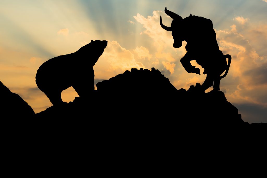 What to do in a bear market? - Vimarsana News