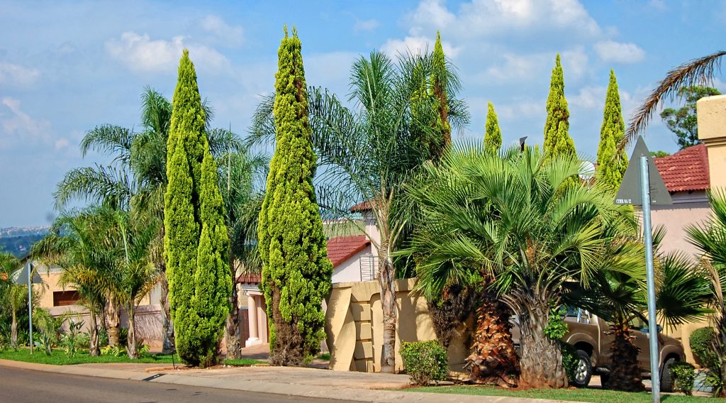 The five biggest property scams to watch out for in SA - Vimarsana News