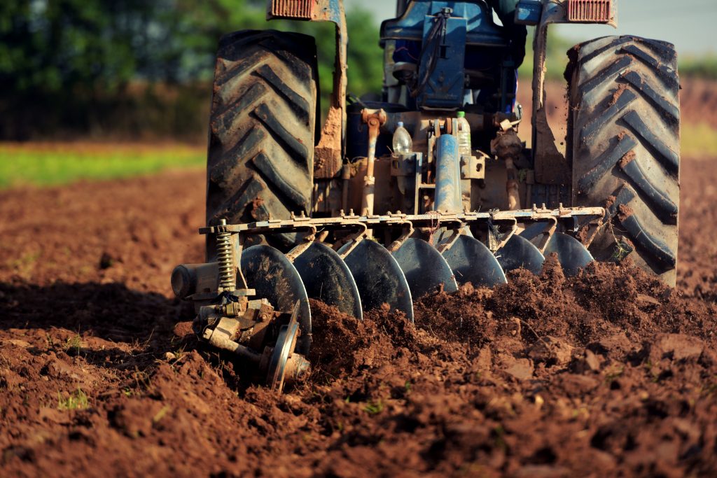 Acorn Agri & Food: Sustained growth during a difficult year - Vimarsana News