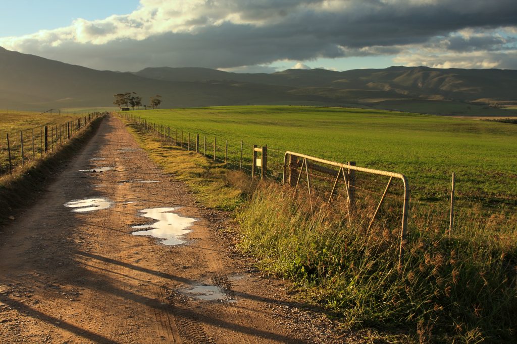 SA must address the 'systemic decline in municipal infrastructure' - Vimarsana News