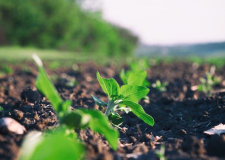 There’s a huge amount wrong with SA’s new land reform plan