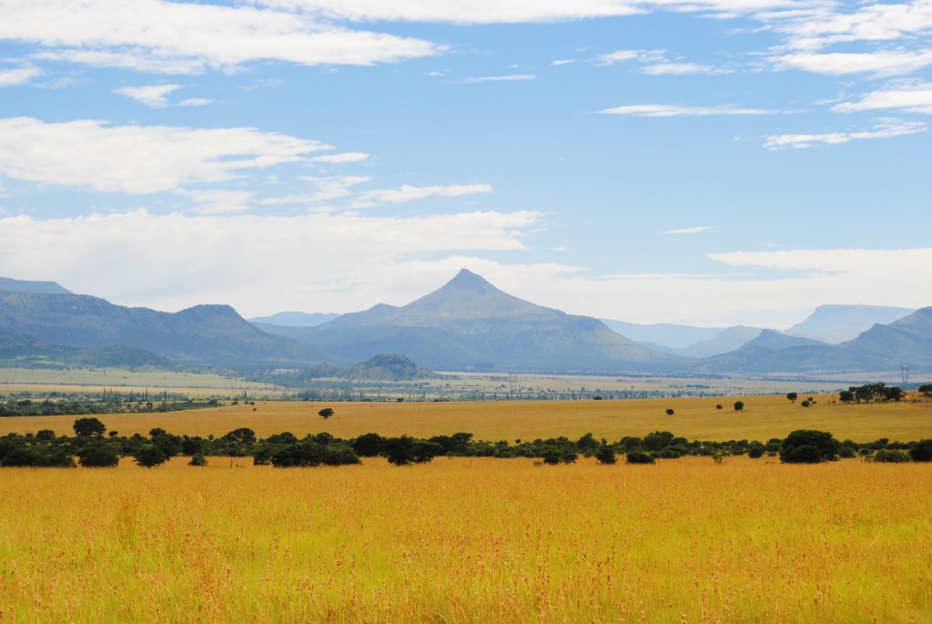 Land claim stats don't reflect reality on the ground - Vimarsana News
