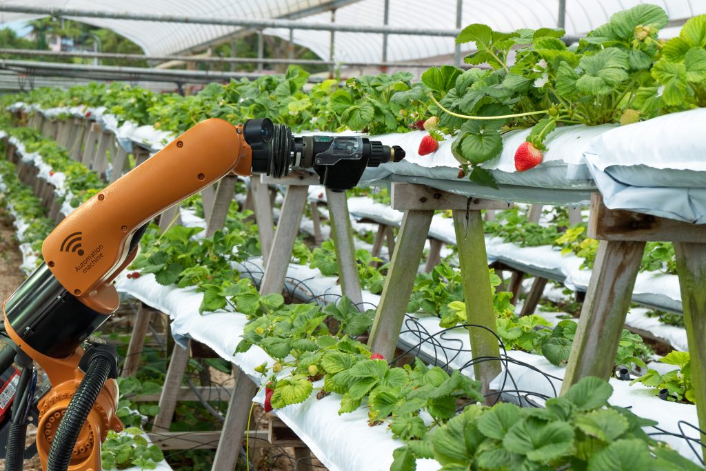 Technology and innovation play a crucial role in SA's agricultural success - Vimarsana News