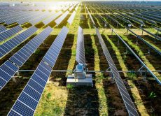 Survey shows huge appetite for renewable projects
