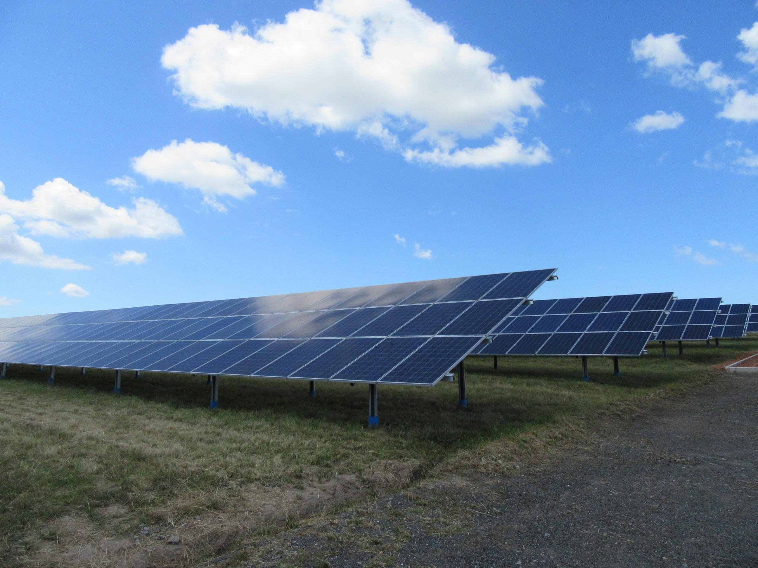 Acsa opens first solar plant at George Airport - Moneyweb