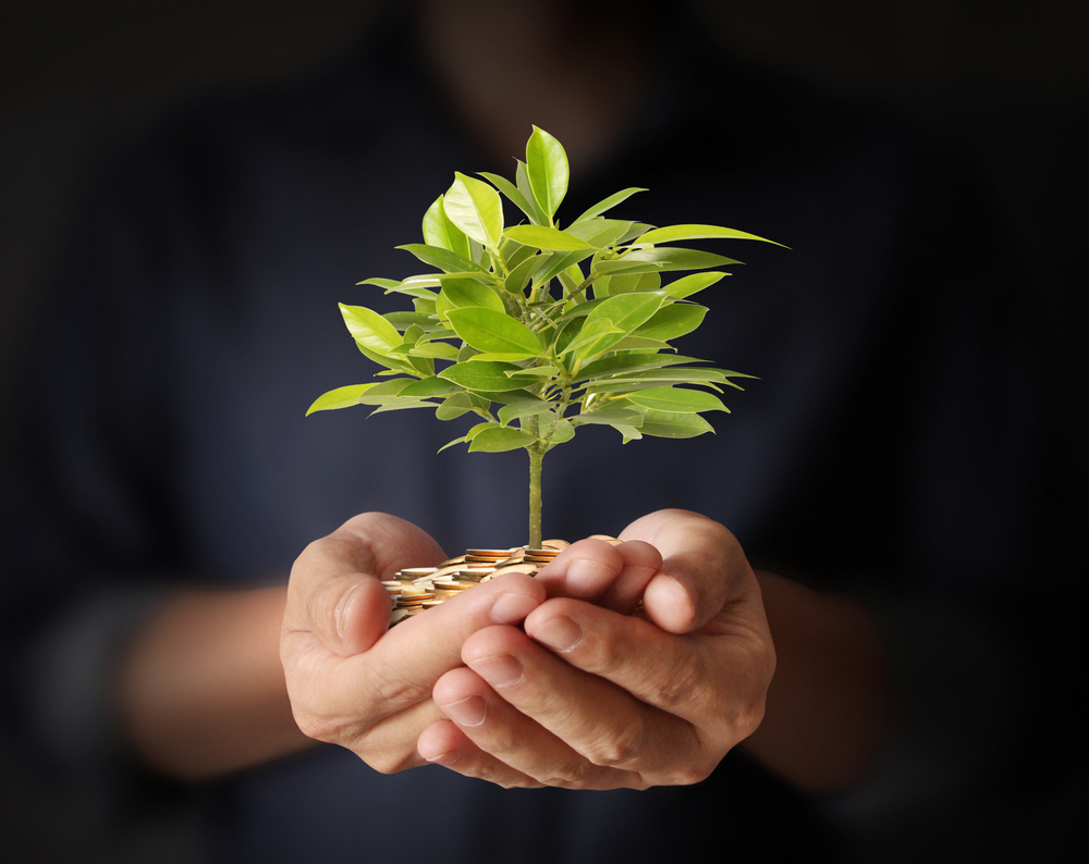 Old Mutual to rate all its unit trusts in terms of ESG scoring - Vimarsana News