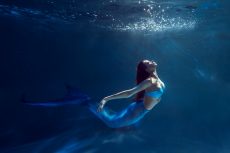 How to position your portfolio for a mermaid invasion