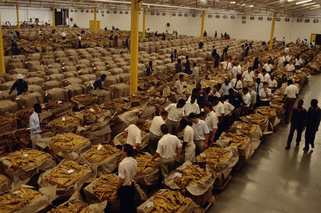 SA has the world's biggest illegal tobacco trade: Batsa