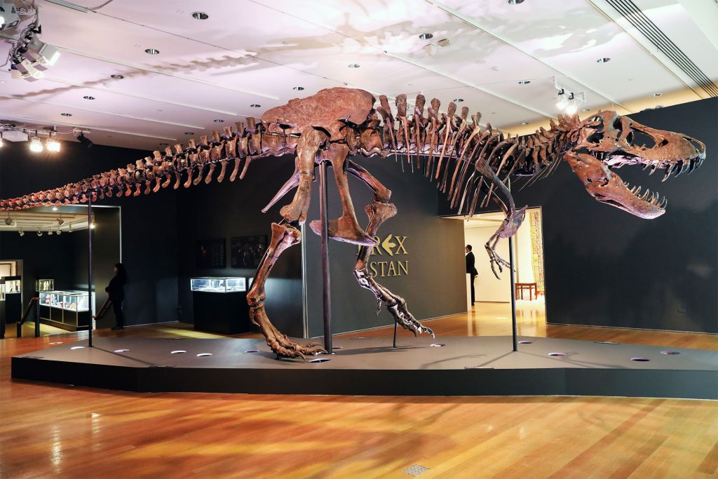 What a $32m dinosaur can tell us about this year's art auctions - Vimarsana News