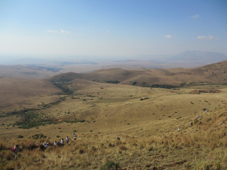 MEC opens up the way for mining in protected Mpumalanga grasslands - Vimarsana News
