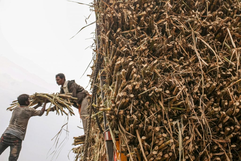 Could KZN cane growers' plan to save the industry work? - Vimarsana News
