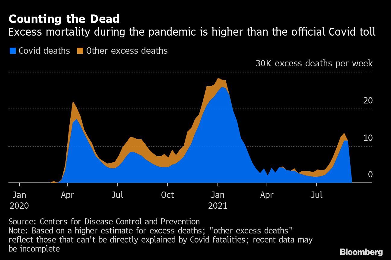 Covid-19 toll in US surpasses 1918 pandemic deaths - Moneyweb