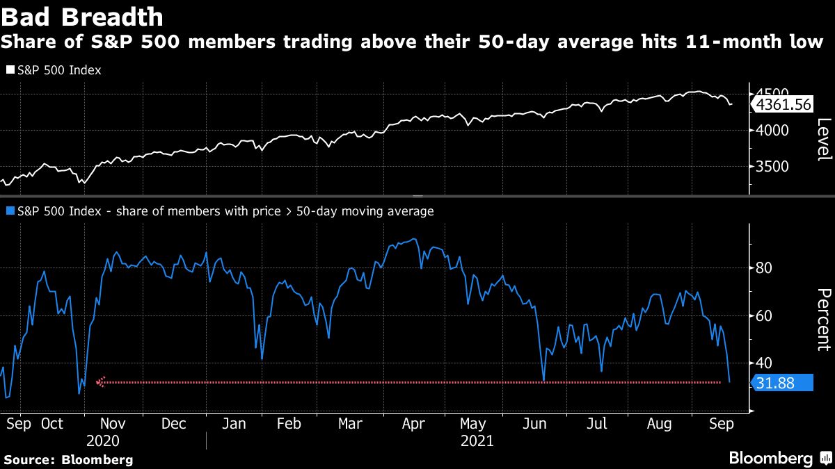 US futures rise with stocks as traders await Fed: markets wrap - Moneyweb