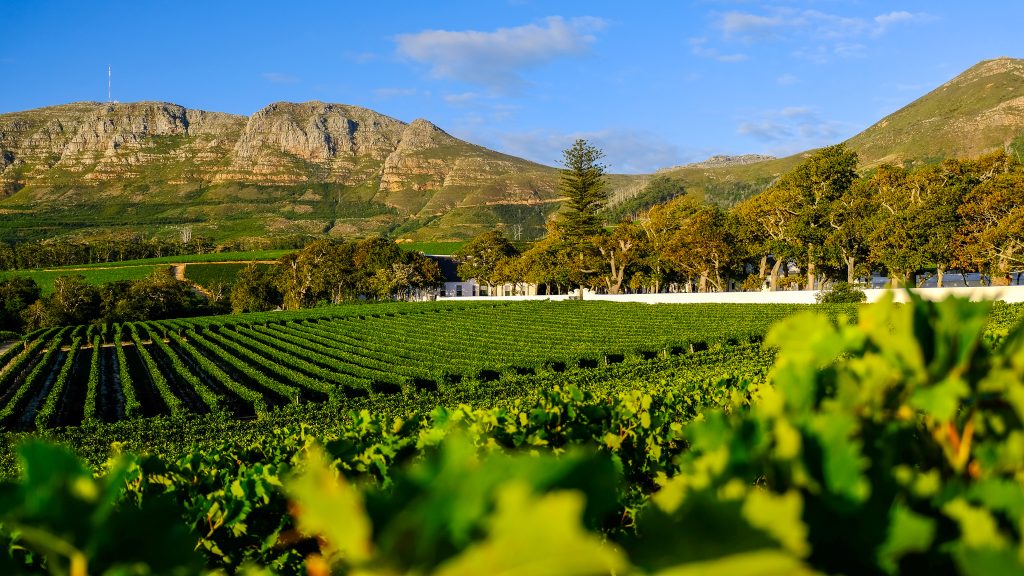 Groot Constantia is die oudste besigheid in SA, of is dit? Moneyweb