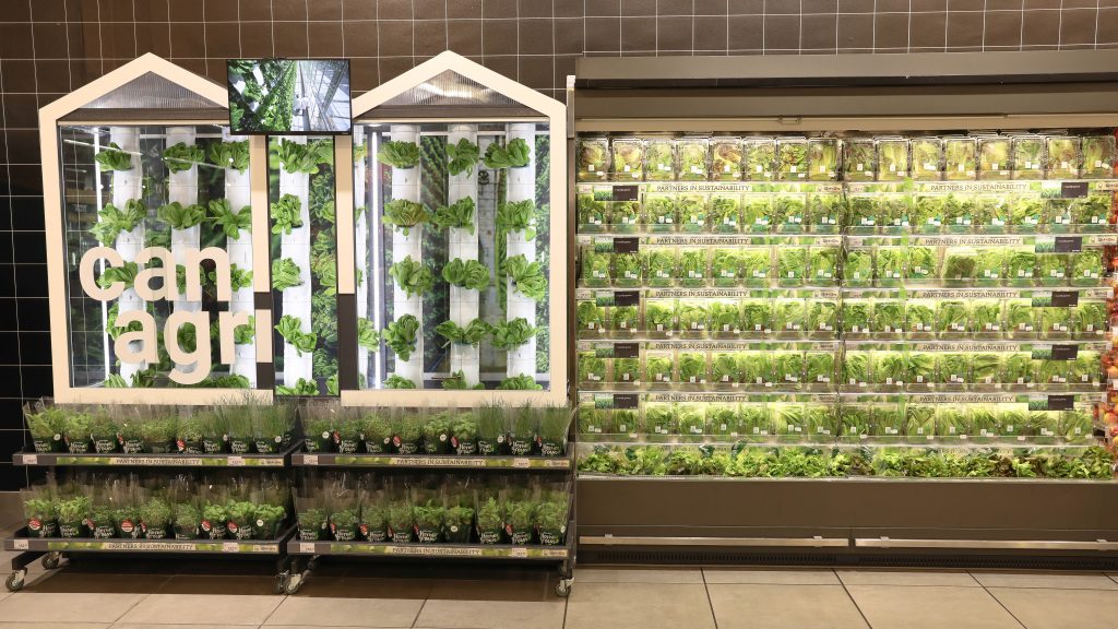Pick n Pay ups fresh produce offering with first in-store vertical farms - Vimarsana News