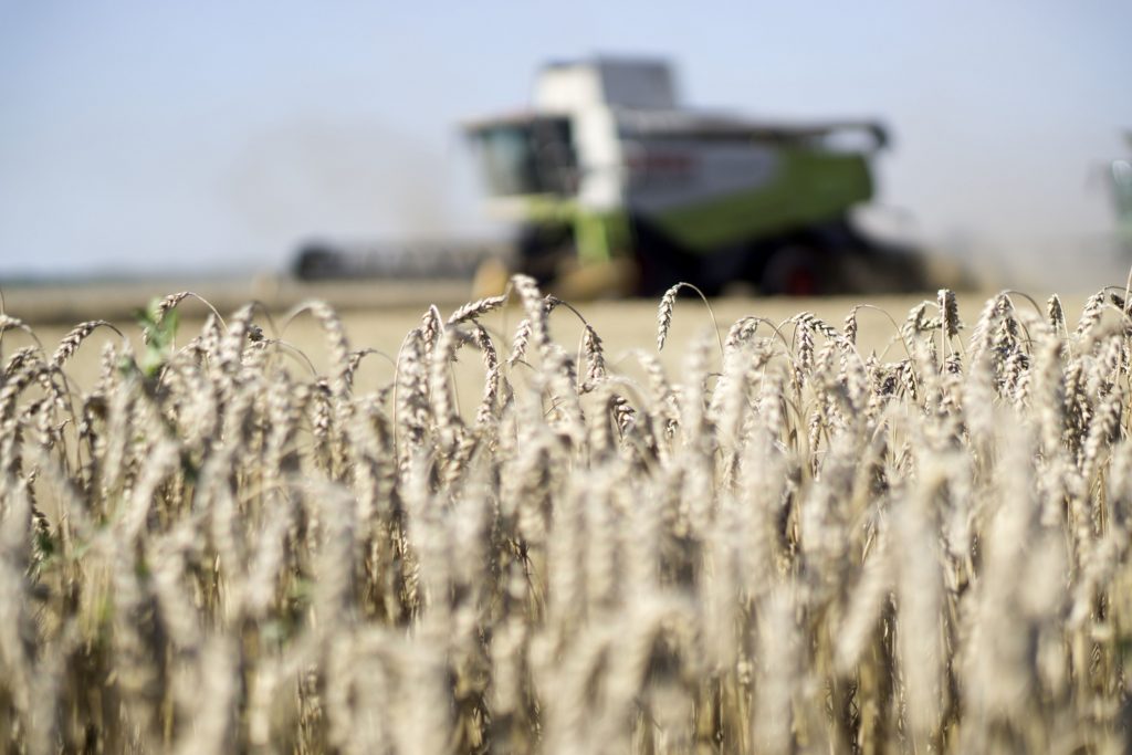 Agri SA’s Sona request: Declare the sector an essential service