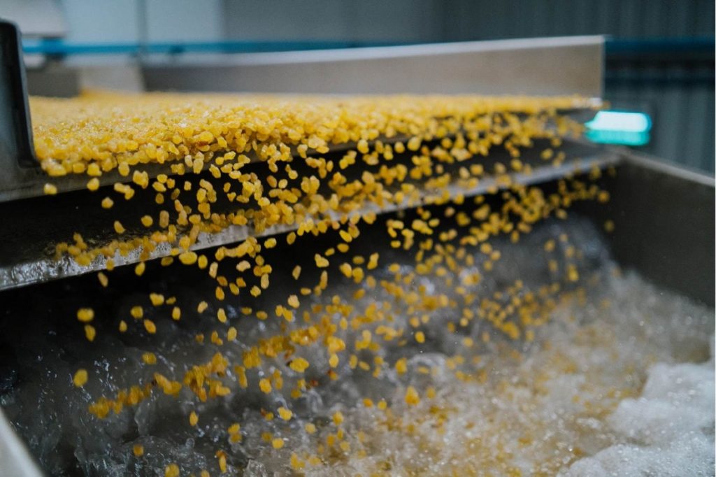 Northern Cape's RedSun secures R120m to boost dried fruit and nut business - Vimarsana News