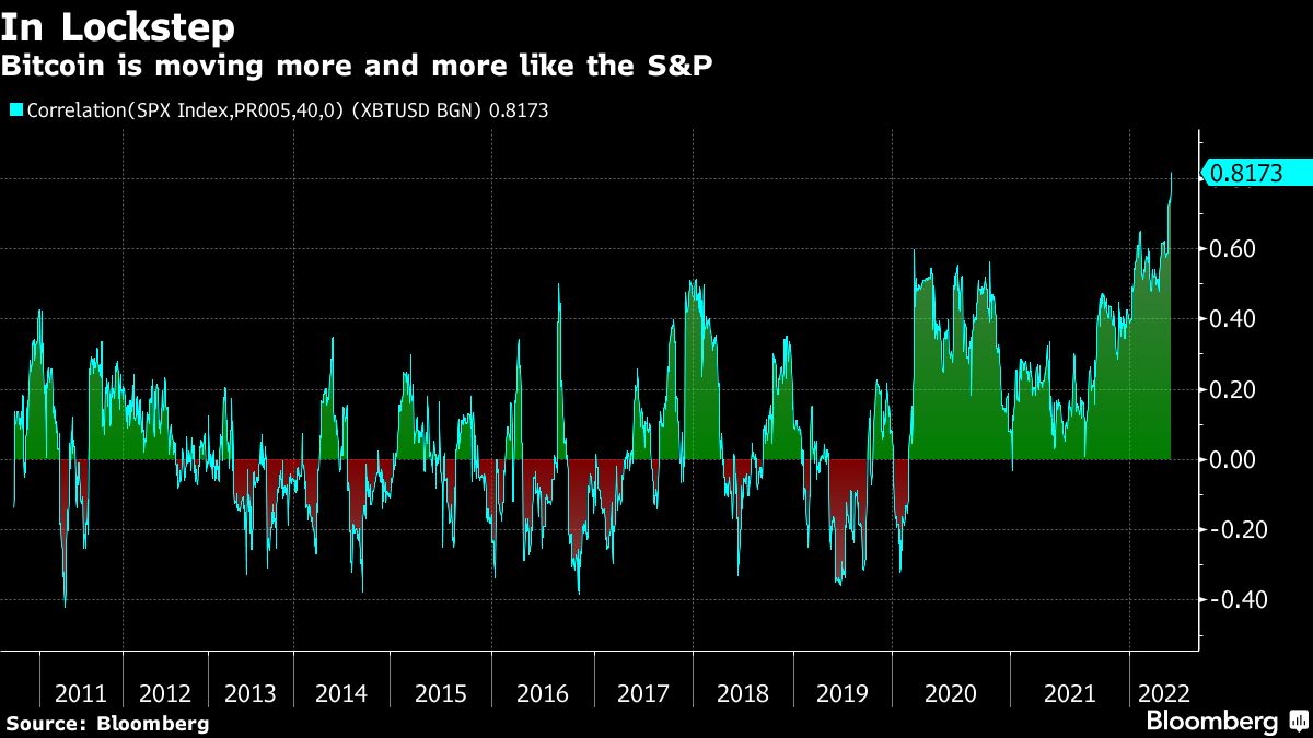 Bitcoin flirts with lowest level since 2021 as equities swoon - Moneyweb
