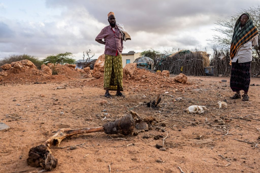 Drought ravaging East Africa bankrupts farmers, empties schools - Vimarsana News
