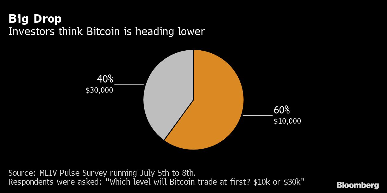 Bitcoin is more likely to hit $10 000 than $30 000, survey finds - Moneyweb