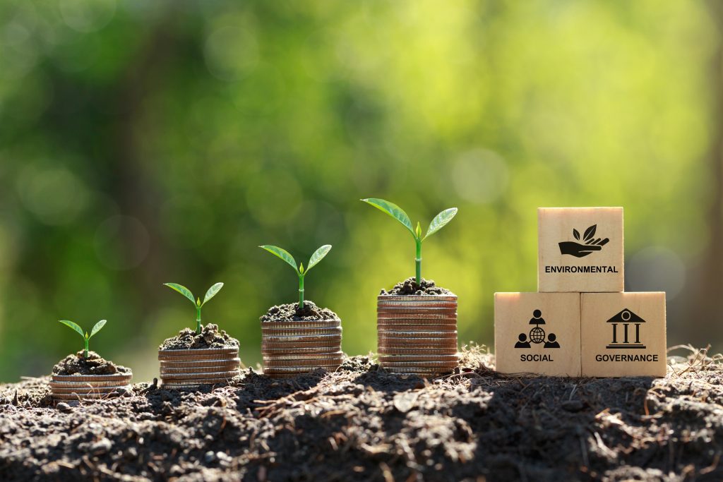 Resetting the sustainable focus: Investing for impact - Vimarsana News