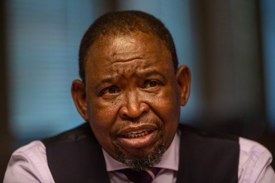The minister said an 'appropriate announcement' on Eskom would be made on February 22. Image: Bloomberg.