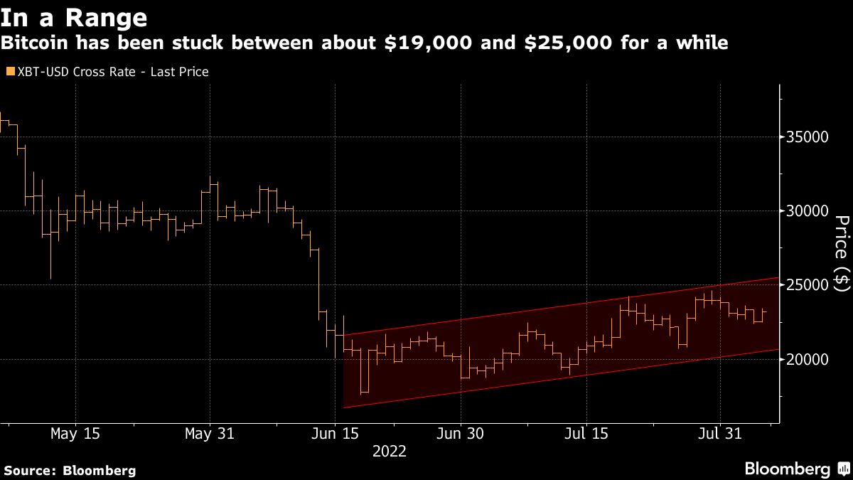Bitcoin retakes $23 000 as Crypto rallies before US jobs report - Moneyweb