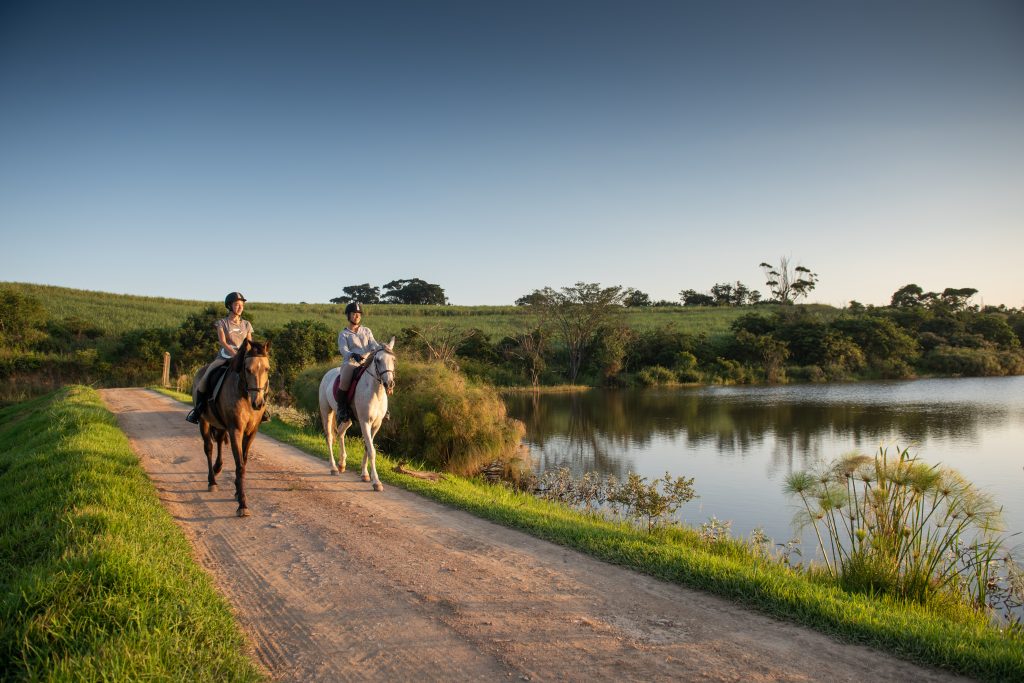 Fairview – an aspirational back-to-nature place to invest and live - Vimarsana News