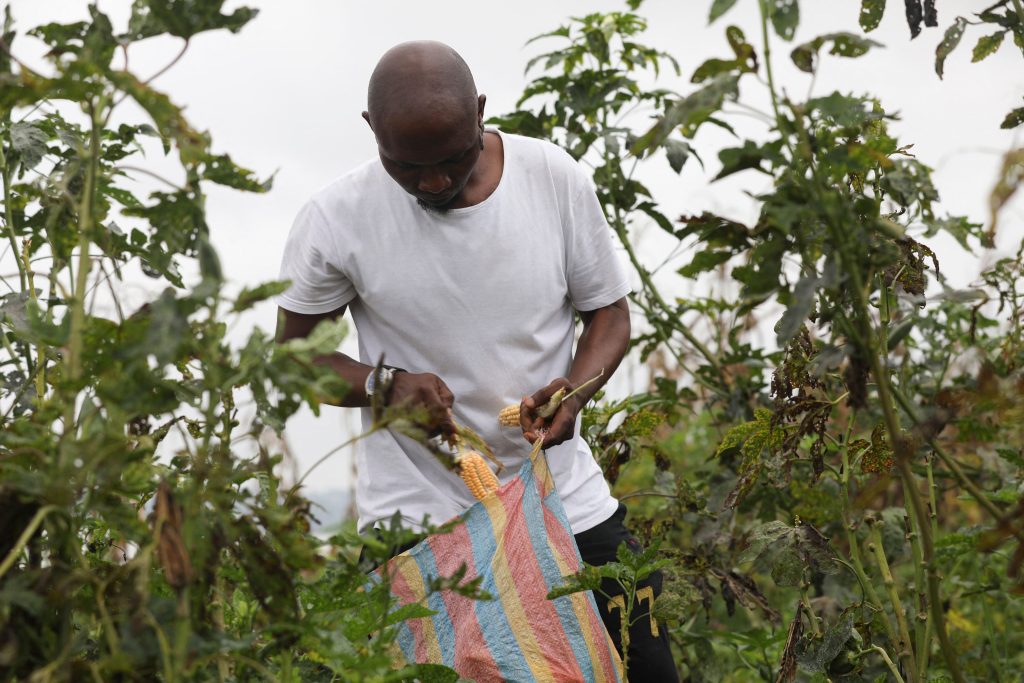 Subsidies for African farmers - Vimarsana News