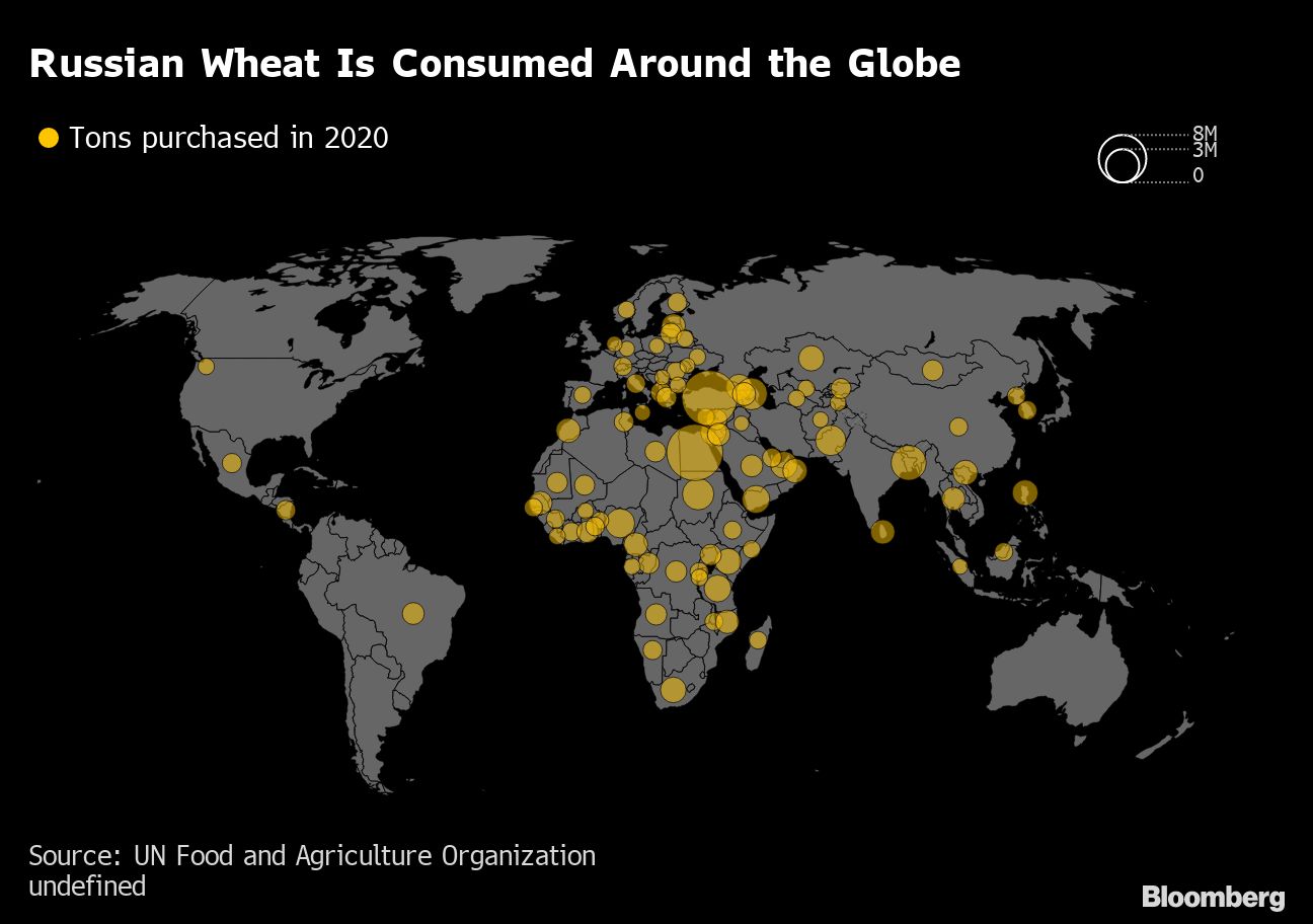Russian wheat shipments falter while Ukraine ramps up exports - Moneyweb