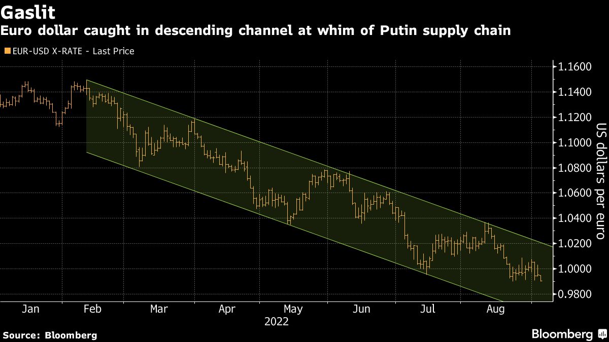 Euro slides to lowest in two decades as Russia shuts off gas - Moneyweb