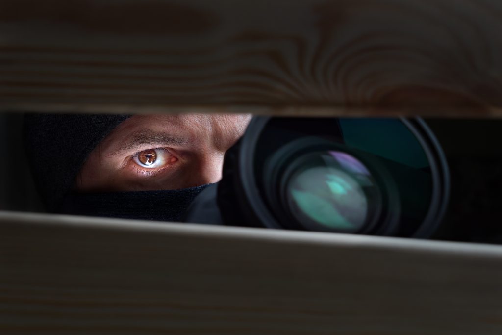 South Africa's intelligence watchdog is failing civil society - Vimarsana News
