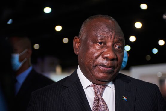 The cash was a downpayment. President Cyril Ramaphosa has said he still owes the buyer either the buffalo or his money and will settle with him once ‘this whole thing settles’. Image: Supplied