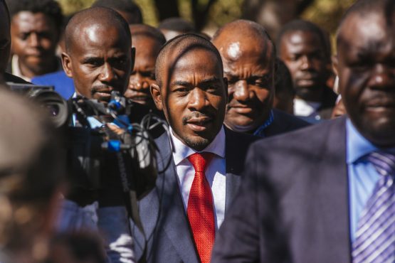 Nelson Chamisa says an imposter has infiltrated, destabilised and contaminated the Citizens Coalition For Change (archive photo, 2018). Image: Bloomberg