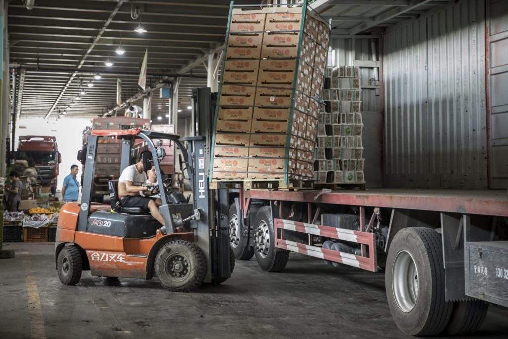 A port full of fruit, Cape Town's looming export catastrophe - Vimarsana News