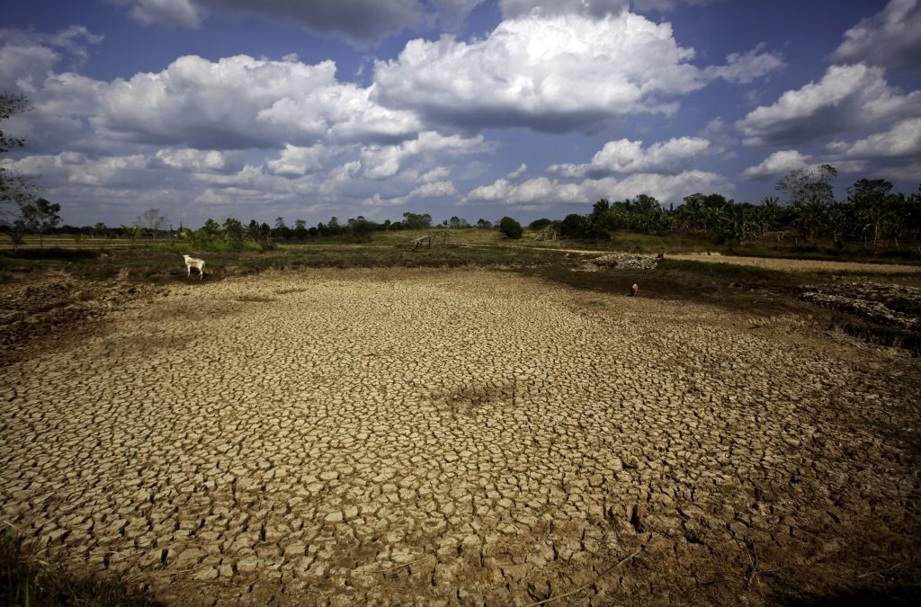 El Niños cause trillions in lost economic growth – new study - Vimarsana News