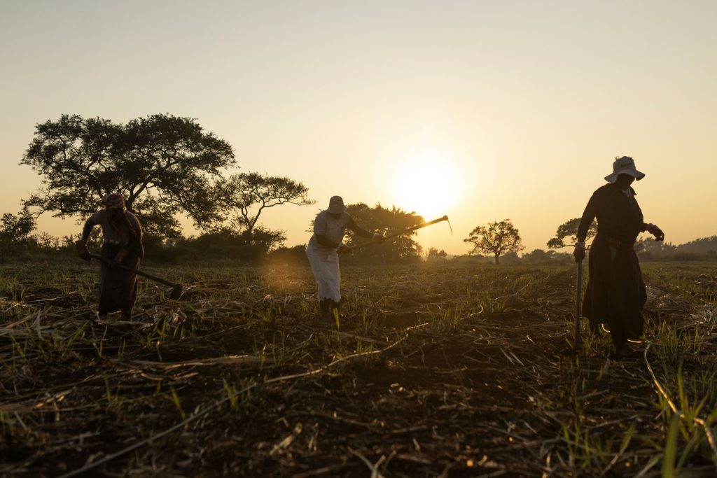 Climate costs mount for poorer nations already burdened by debt - Vimarsana News