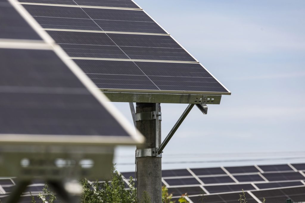 China top solar firm warns excess capacity risks wave of failures - Vimarsana News