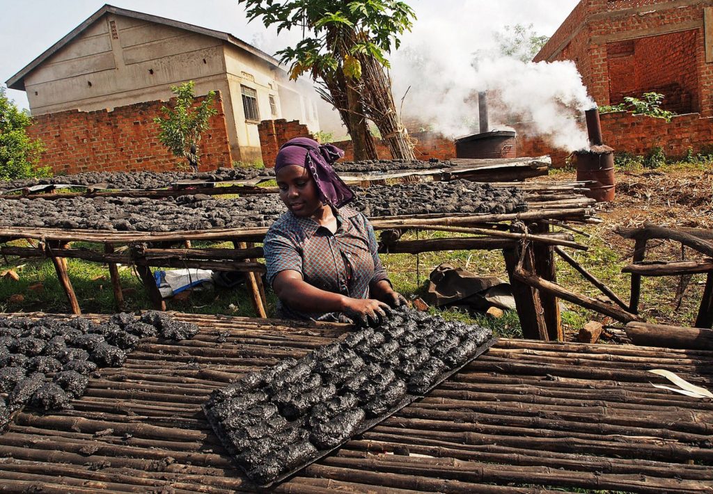 Ancient Amazon charcoal seen as next big thing in carbon markets - Vimarsana News