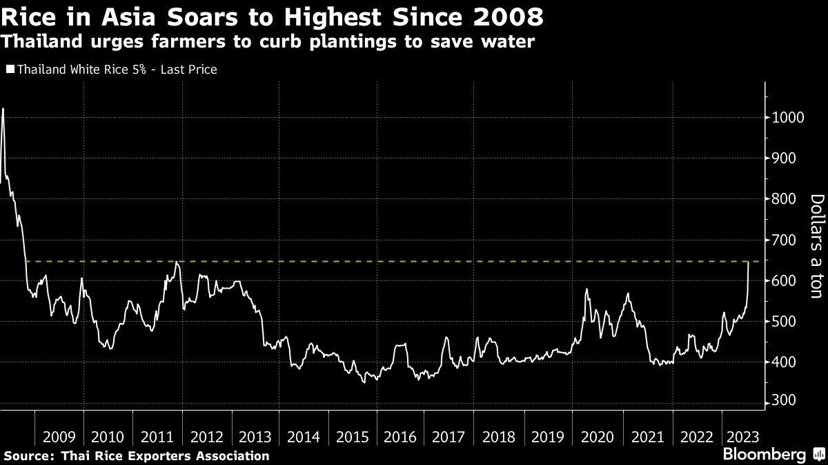 January Rice Inflation Soaring rice prices stretch budgets for billions in Asia, Africa - Moneyweb