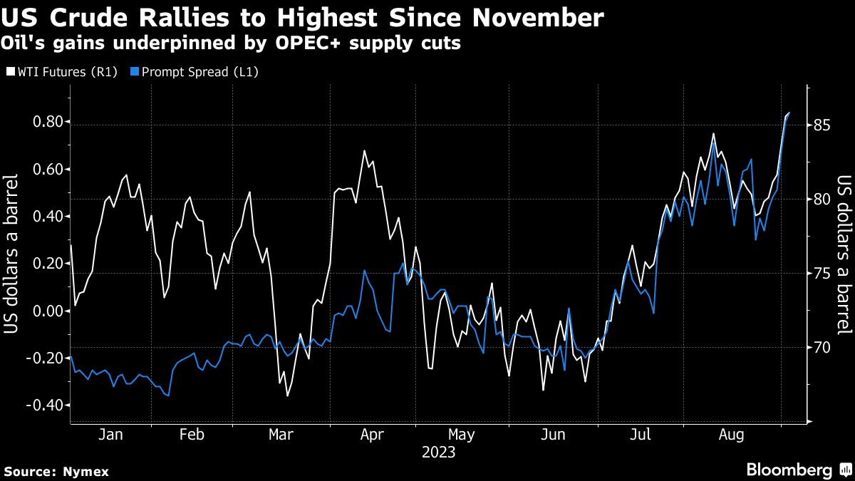 Oil steadies after hitting highest since November on OPEC+ cuts - Moneyweb
